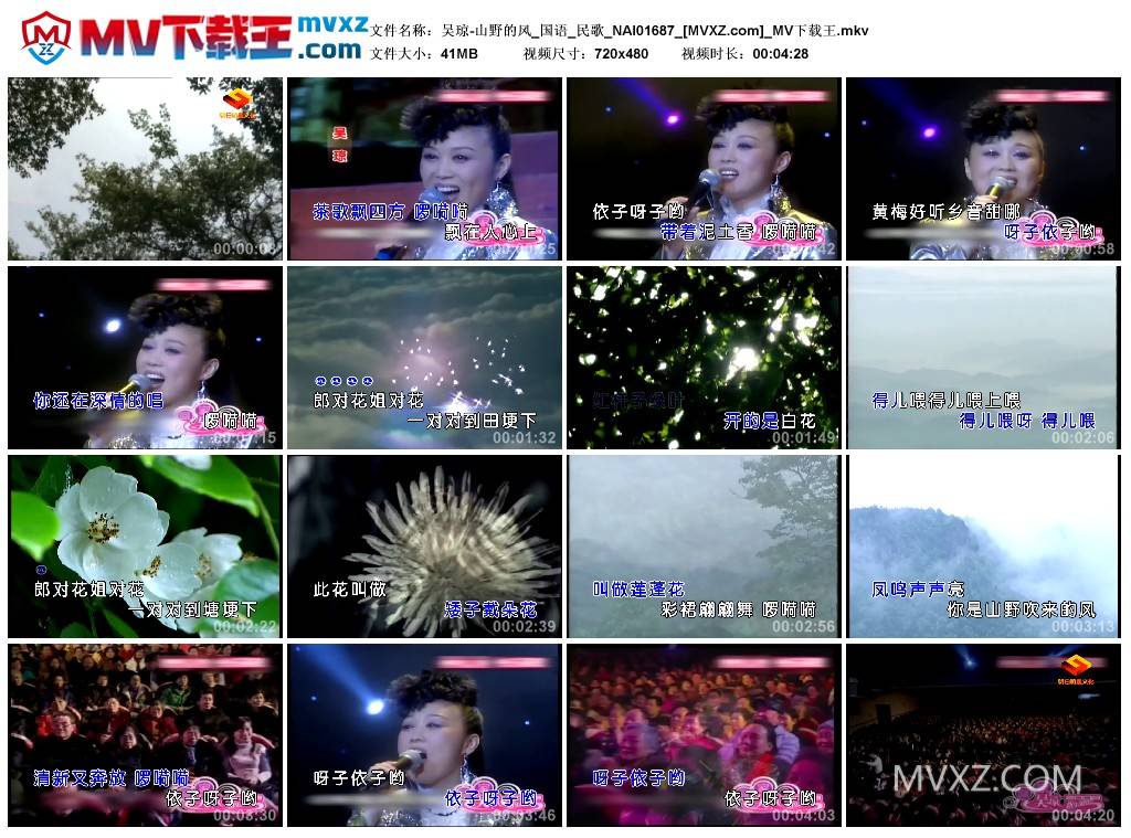 吴琼-山野的风_国语_民歌_NAI01687